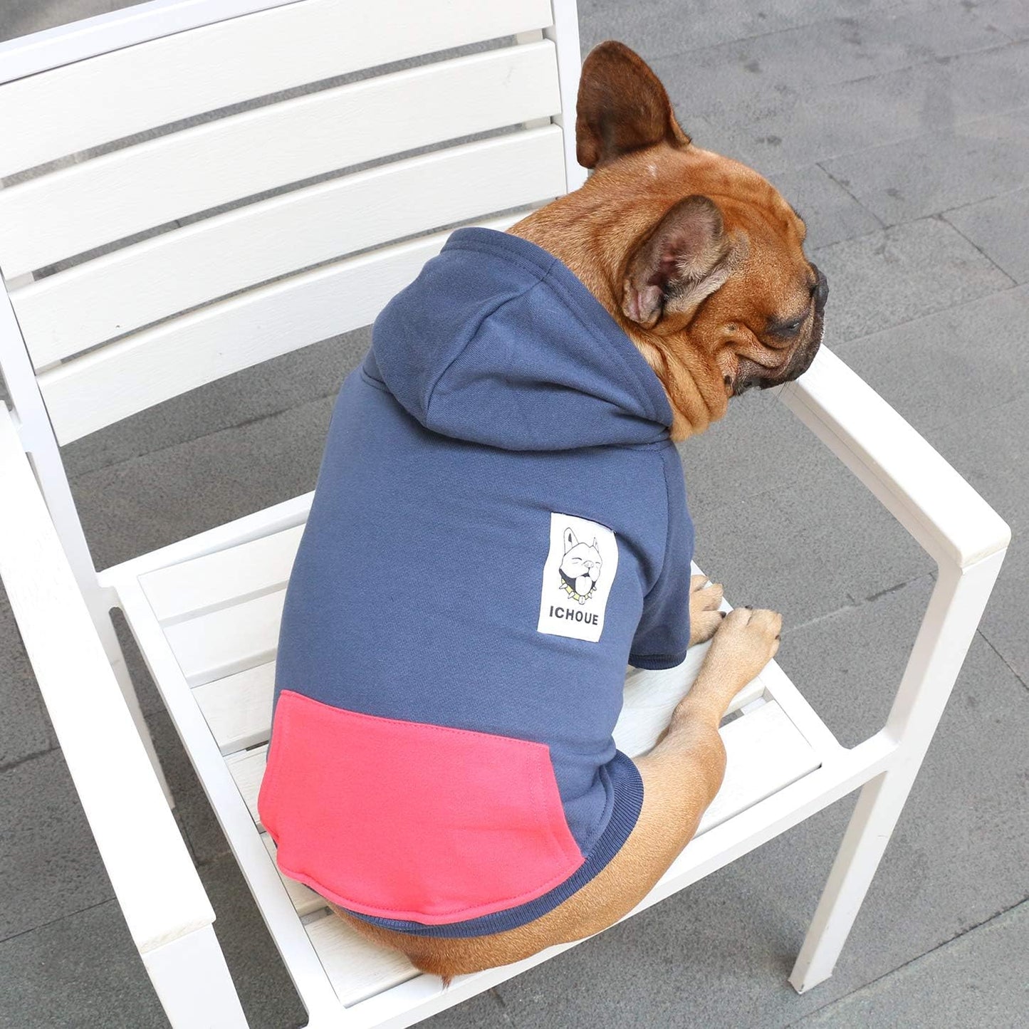 Dog Hoodie on a French Bulldog sitting on a chair, stylish winter coat in navy and pink color.