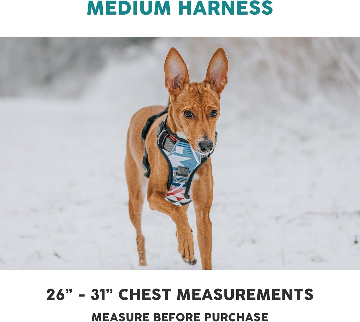 Embark Adventure Dog Harness, Reflective Trim No Pull Dog Harness Medium Sized Dogs - Military Grade Nylon, Front Clip with Gel Lined Handle.