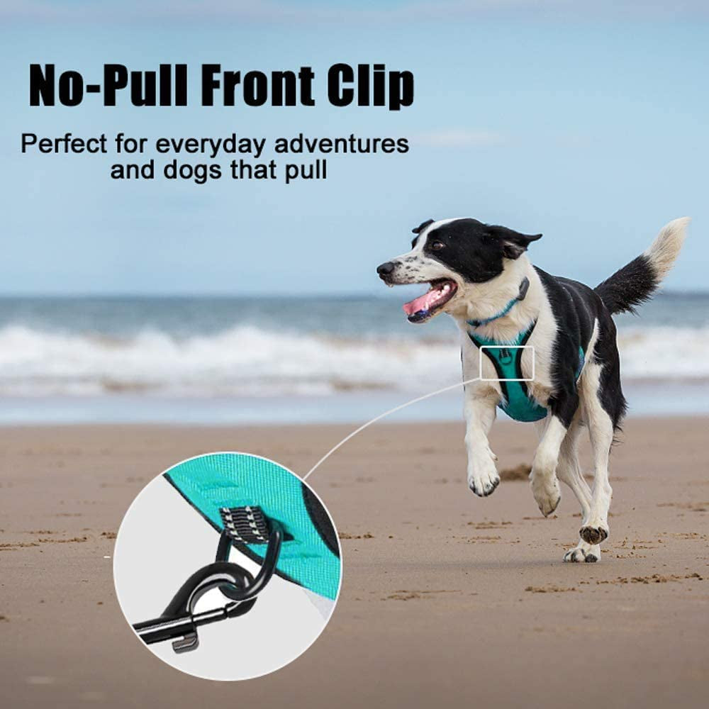 No Pull Dog Harness Reflective Mint Blue