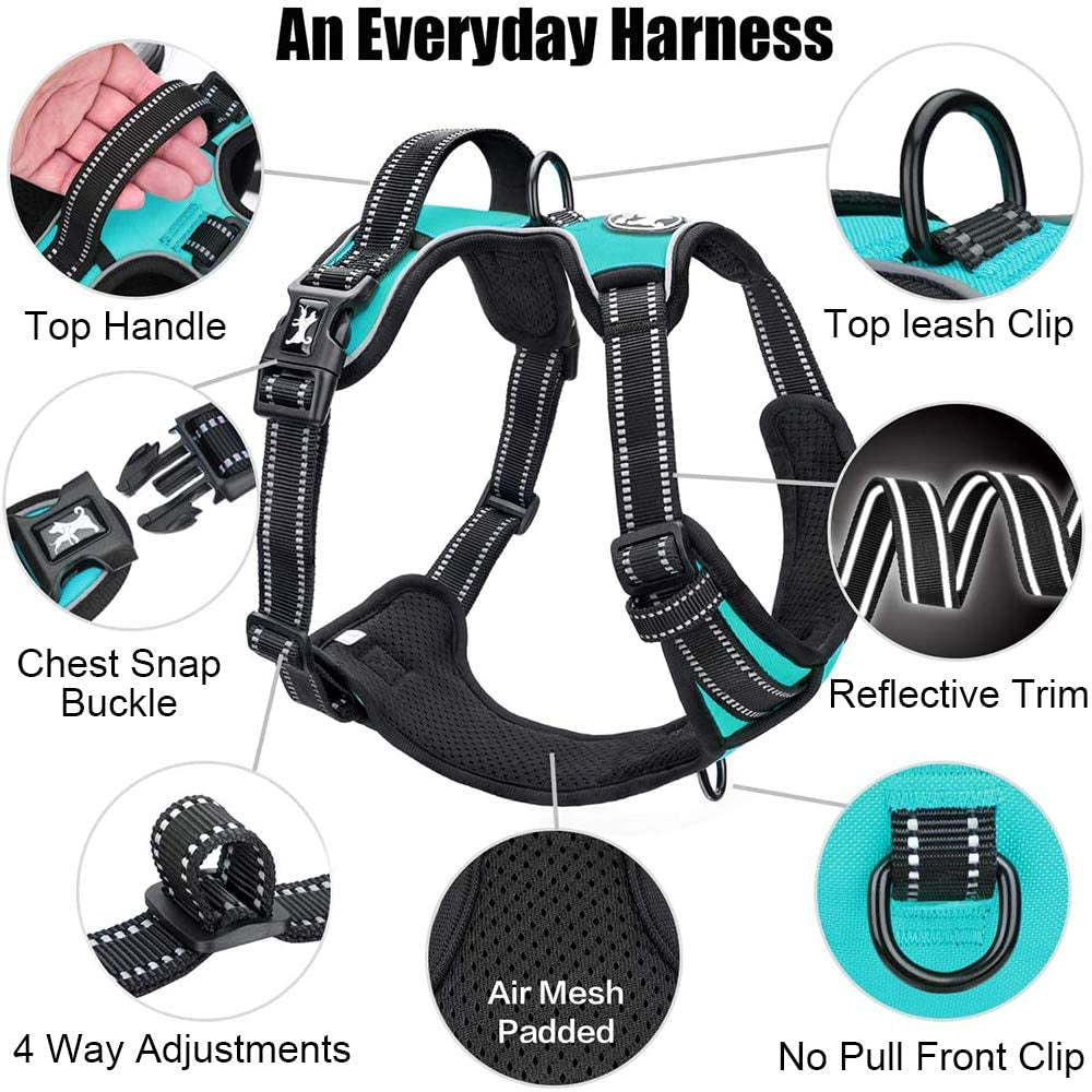 No Pull Dog Harness Reflective Mint Blue