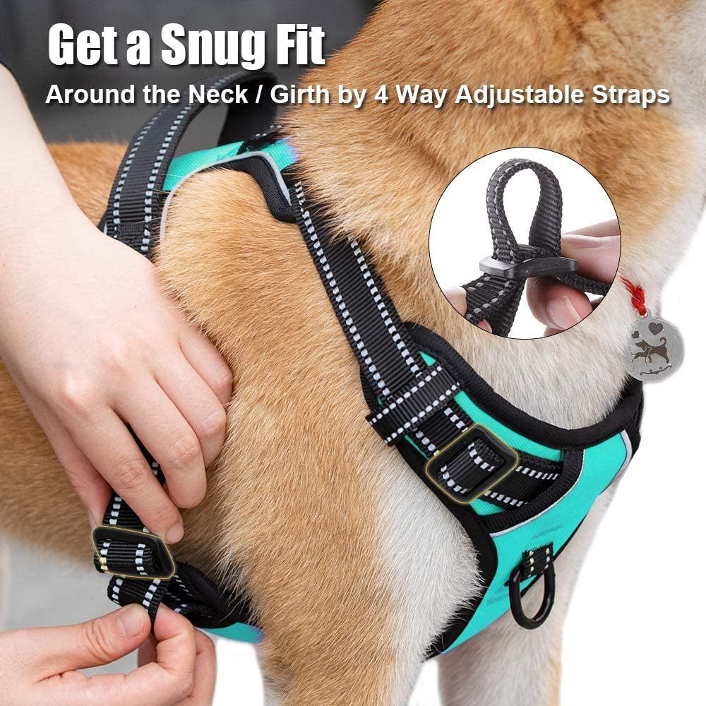 No Pull Dog Harness Reflective Mint Blue