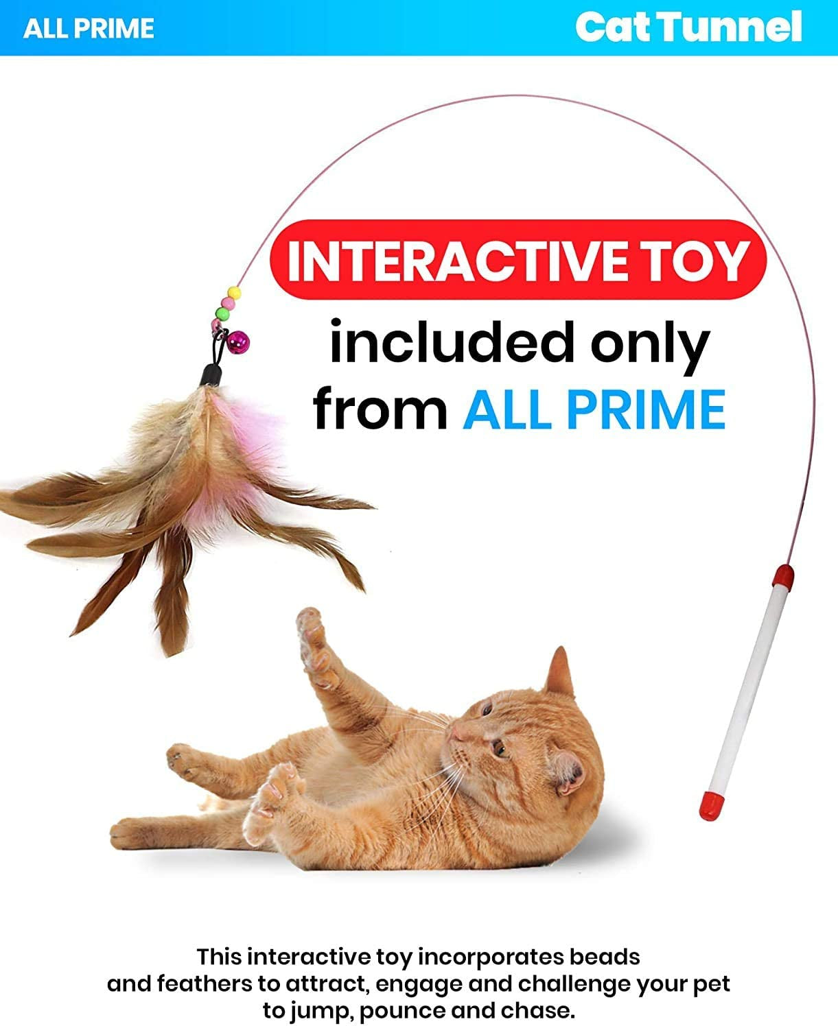 Blue Cat Tunnel With Interactive Toy