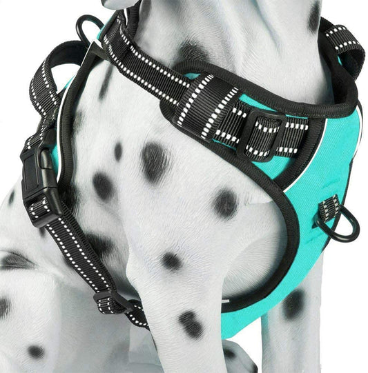 No Pull Dog Harness Reflective Mint Blue