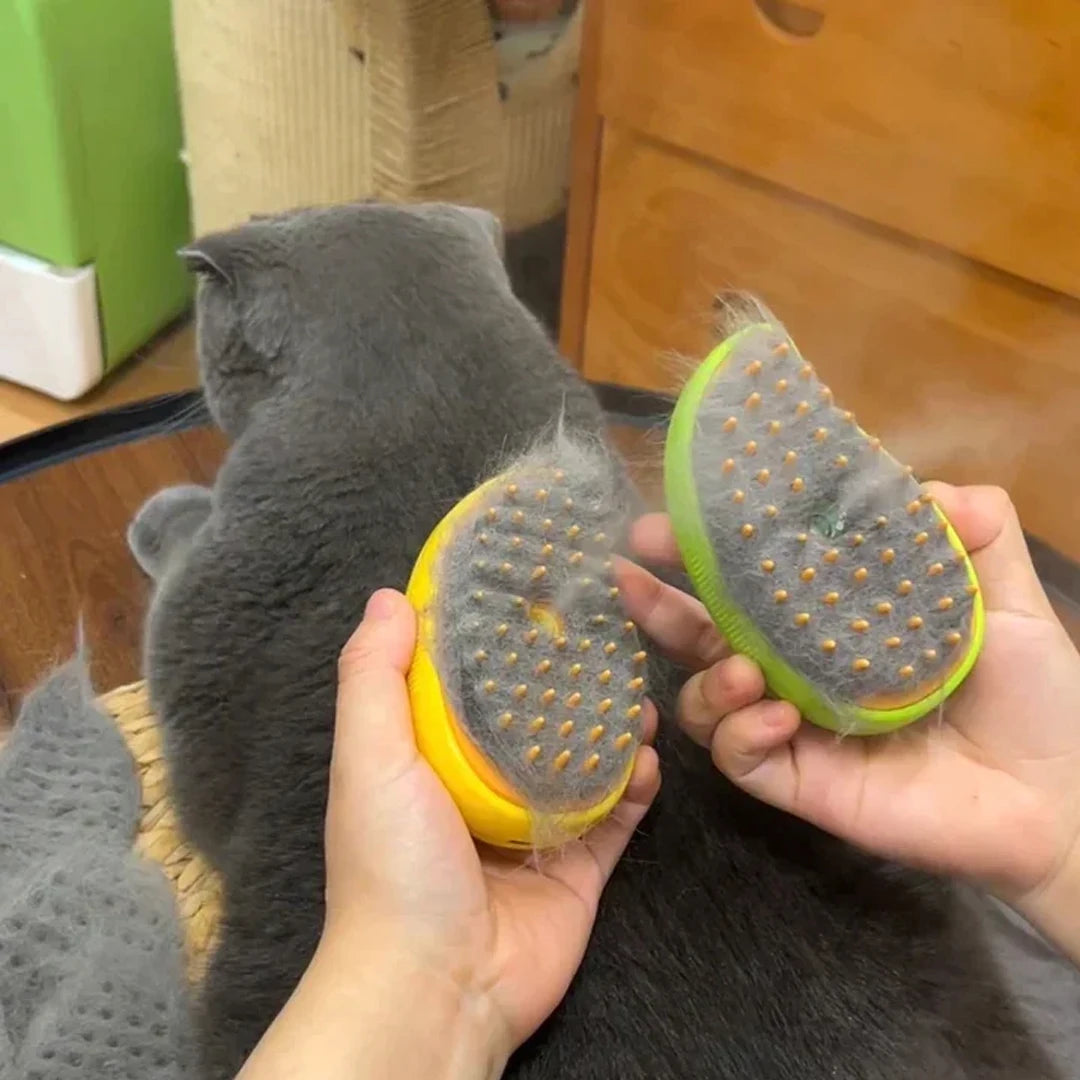 Cat And Dog Steam Massage Brush