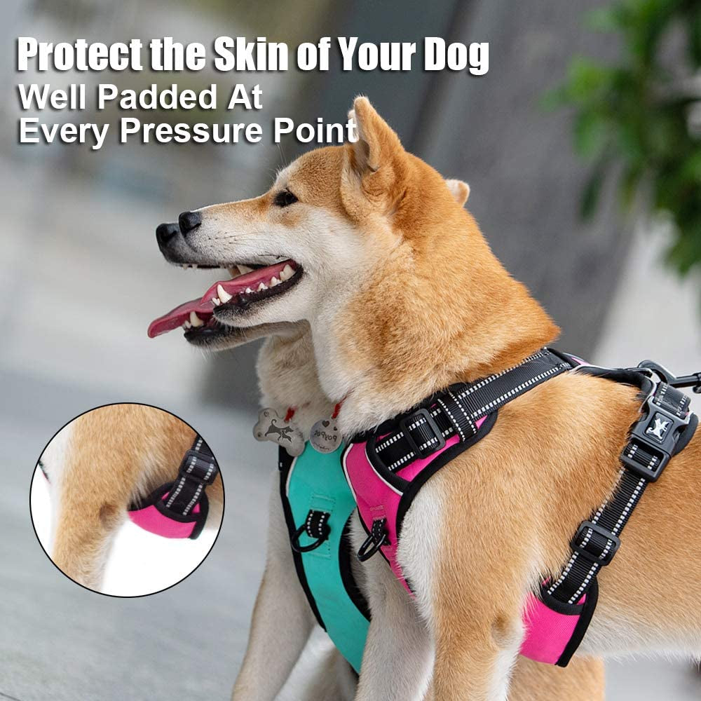 No Pull Dog Harness Reflective Mint Blue