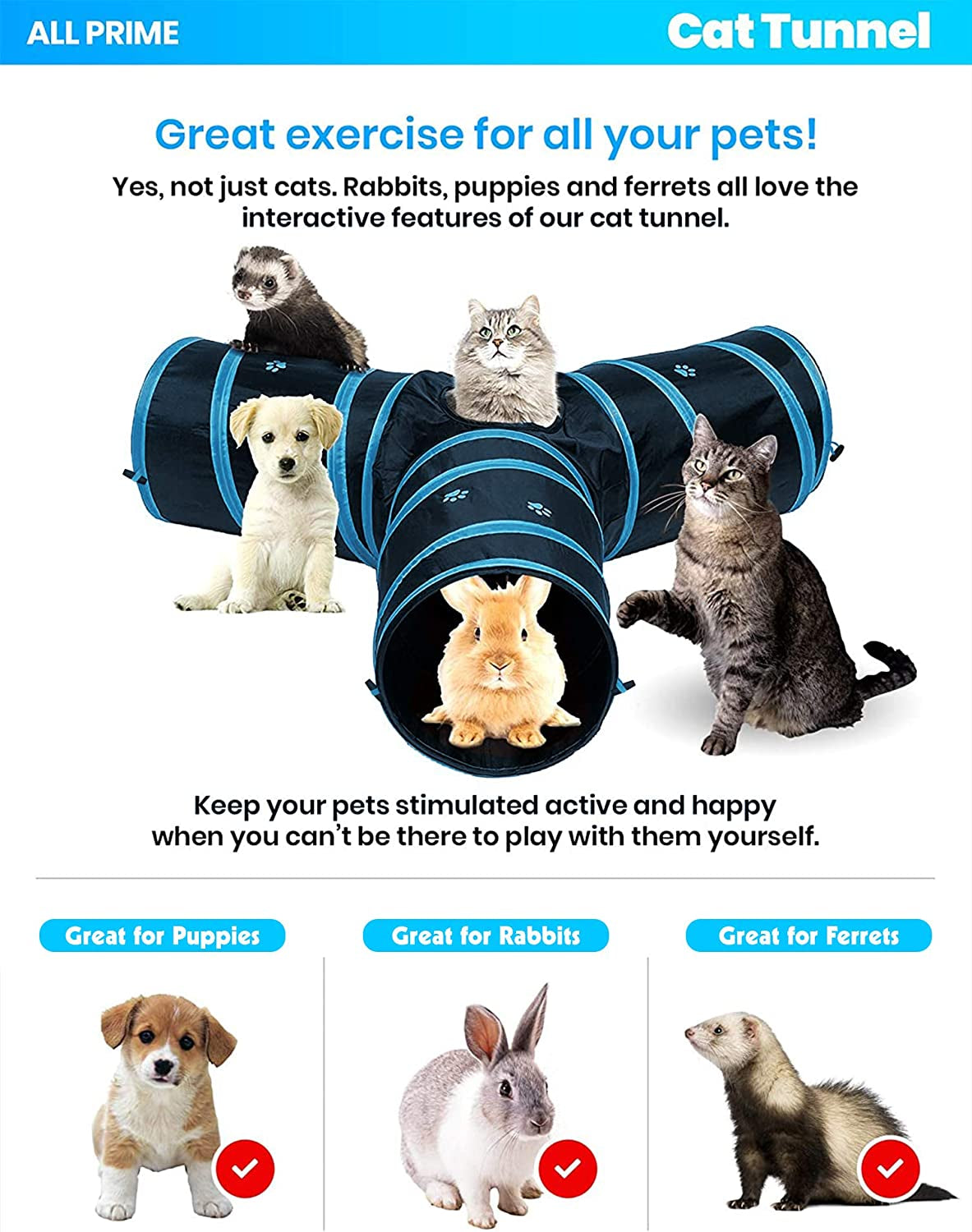 Blue Cat Tunnel With Interactive Toy