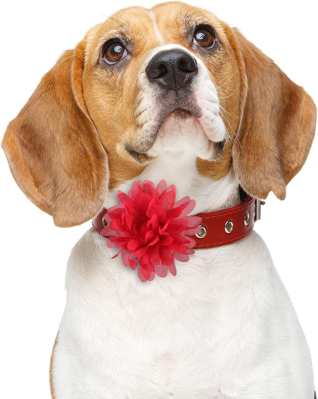 Charming 10 Cm/4 Inch 20 Pcs Pet Flower Collar Bow Dog Collar accessory adds elegance for puppy grooming and special occasions.