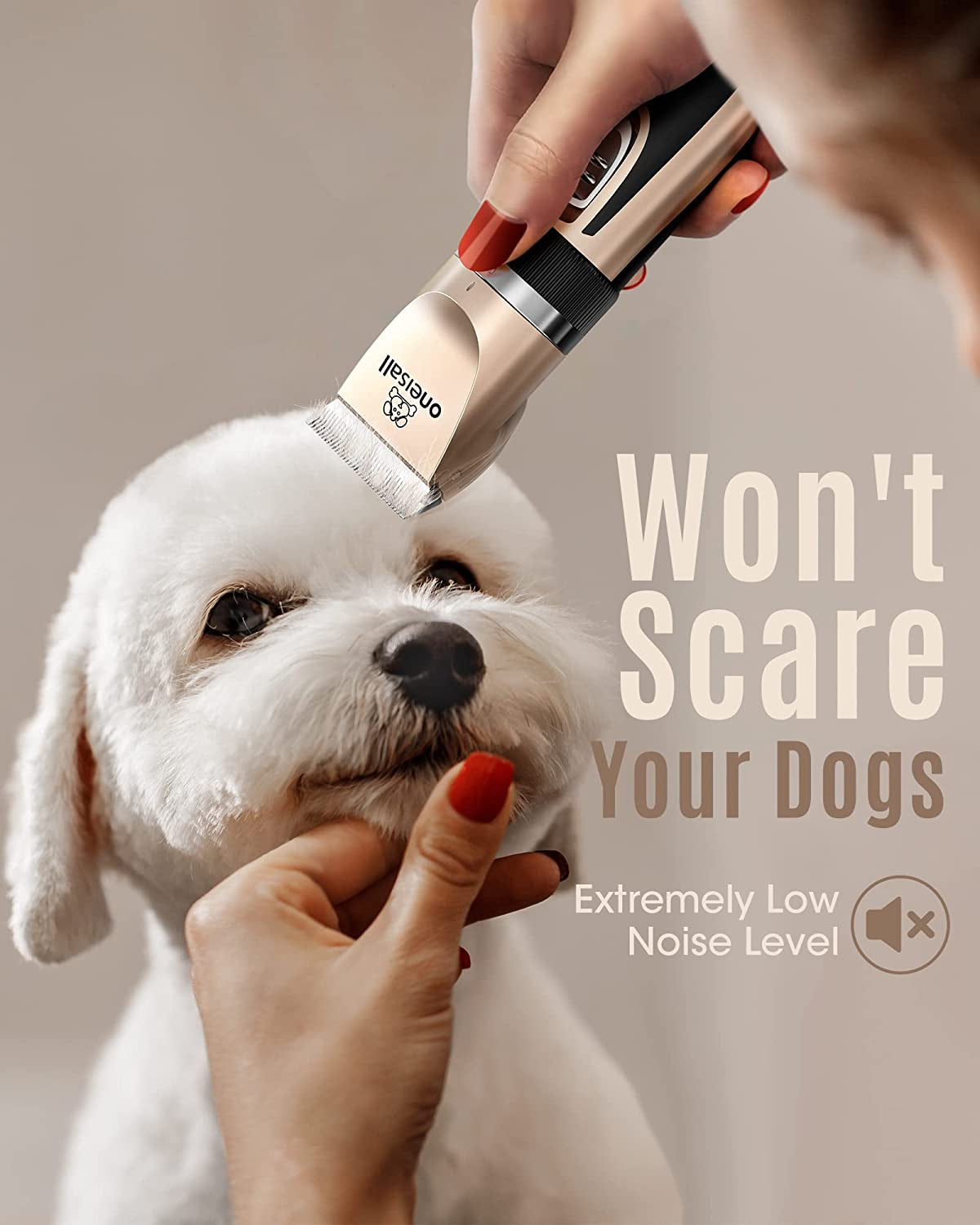 Dog Clippers Rechargeable grooming kit in use on a small dog, showcasing low noise for pet comfort.
