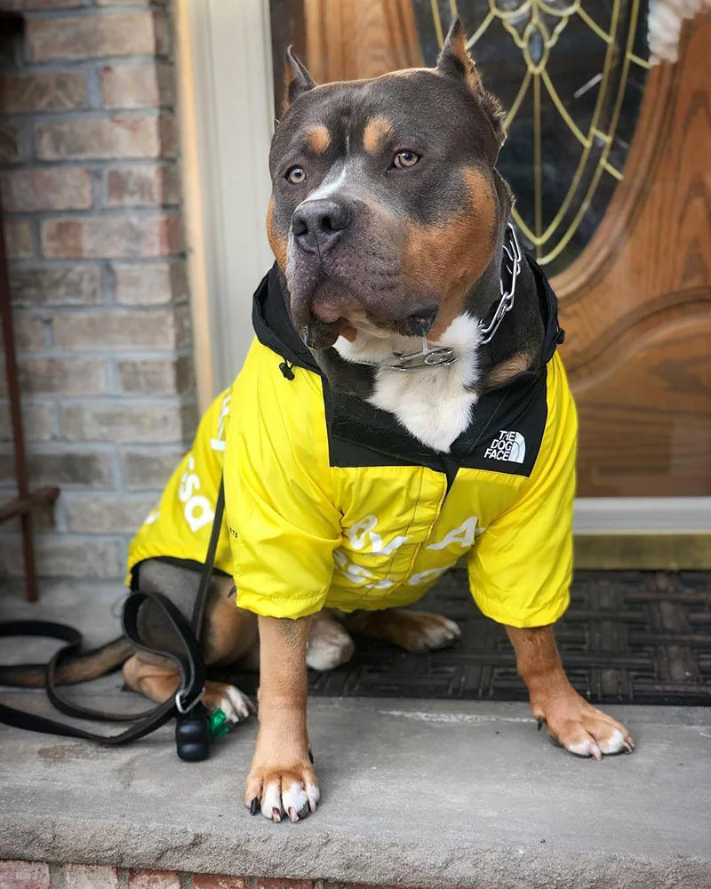 Dog Waterproof Raincoat